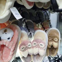 انواع دمپایی پولیشی ، ابری|کیف، کفش، کمربند|صدرا-فارس, فاز ۱|دیوار