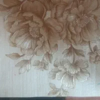 آلبوم باطله کاغذ دیواری