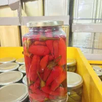 نمایندگی صنایع غذایی