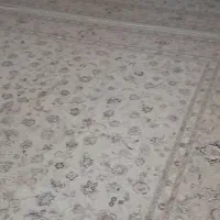 فرش کرم نقش زیبا وسالم ۲عدد ۱۲ متری|فرش|تهران, دهم فروردین|دیوار