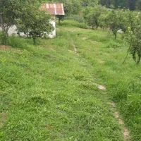 ۷۰۰۰ متر زمین سند دار تفکیک شده با پروانه ساخت|فروش زمین و ملک کلنگی|مرزیکلا, |دیوار