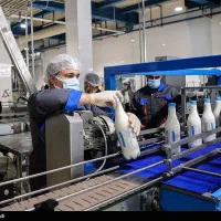 تولید کاتالیزور|استخدام صنعتی، فنی، مهندسی|کاشان, الغدیر|دیوار