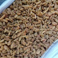 کشمش سبز خلیل آباد