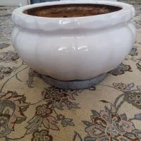 گلدان