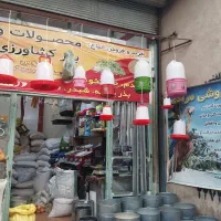 دان مرغ و بوقلمون و بلدرچین تخم گذار38000|لوازم جانبی حیوانات|سنندج, |دیوار