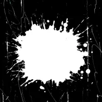 شناسنامه گم شده.