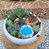 فروش دیش گاردن و تراریوم