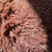 پالتو زنانه و کاپشن