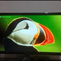 تلویزیون led LG