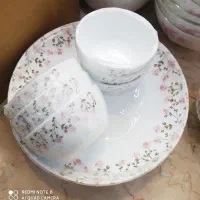 حراج آرکوپال،برنج خوری،خورشت،میوه خوری و غیره