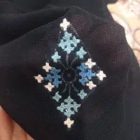 دوچگر پلیوارپری ام