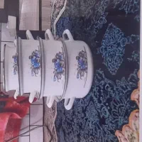 قابلمه لعابی سالم هستن