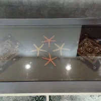 میزوسط مبلی|مبلمان خانگی و میز عسلی|نگین شهر, |دیوار