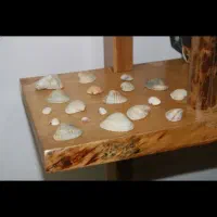 کتاب خانه چوبی|کتابخانه، شلف، قفسه‌های دیواری|طرقبه, |دیوار