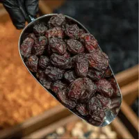 انواع خرما صادراتی   دربسته بندی  بصورت تناژ