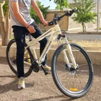 دوچرخه حرفه ای