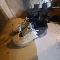 کتونی ورزشی