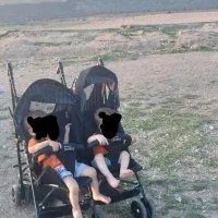 کالسکه دوقلو