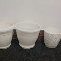 تعدادی گلدان