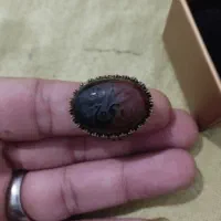 انگشتر طلا روسی اصل سلطنتنی،|جواهرات|آمل, |دیوار