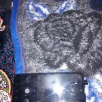 هواوی y9  2019|موبایل|کرمانشاه, |دیوار