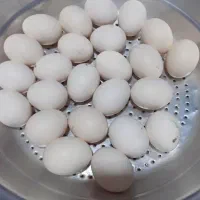 تخم مرغ نطفه دار عربی ۲۴عدد ترشی سپستون موجوده