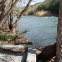 باغ لب رودخانه فنس کشی