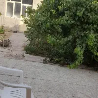 همخونه میشم آقا هستم