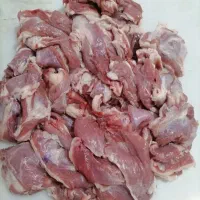 مایه کباب کوبیده مخصوص خانگی با کیفیت عالی|خوردنی و آشامیدنی|کرج, شهرک آسمان|دیوار