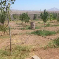 باغ با حصار کامل برق دار ۵۰۰متر|فروش زمین و ملک کلنگی|صوفیان, |دیوار