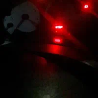 سرپرستی سگ سرابی