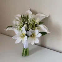 قیمت از۸۰۰به بالا