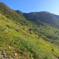 فروش باغ|فروش زمین و ملک کلنگی|بیلوار, |دیوار