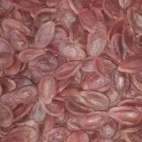 دانه هندوانه