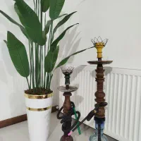 قلیون دوسیب و شلیل شاهد شهر