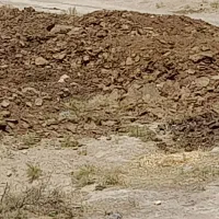کود گاو۰۰۰۰|لوازم جانبی حیوانات|شیراز, حسن آباد|دیوار