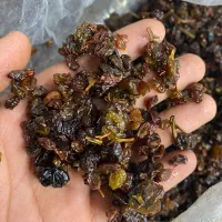 کشمش آبگیری تاکستان|خوردنی و آشامیدنی|تاکستان, |دیوار