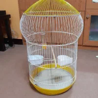 قفس خیلی شیک وزیبا مخصوص طوطی و عروس هلندی|لوازم جانبی حیوانات|کرمانشاه, |دیوار