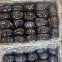 خرما مضافتی بم