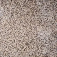 جو کردی دیم