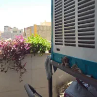 آپارتمان۱۲۰متری نوساز/سند/پارکینگ(خیابان امیرکبیر)|فروش آپارتمان|محمدشهر, همایون ویلا|دیوار