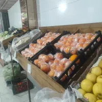 میوه سرای گندم تحویل درب منزل