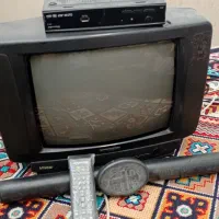 تلویزیون