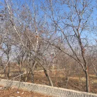 باغ بر جاده خوی چالدران|فروش زمین و ملک کلنگی|فیرورق, |دیوار