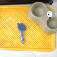 وسایل سگ پت|لوازم جانبی حیوانات|مشهد, نیروی هوایی|دیوار