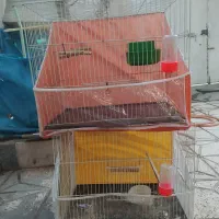 دوعدد قفس پرنده دونه ۲۰۰ بالوازم
