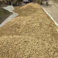 استخدام نگهبان شب با ضامن معتبر