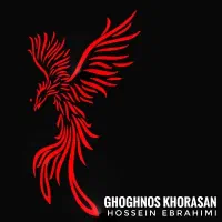 فیلمبرداری و تصویربرداری مجالس