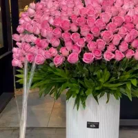 گل جاودان و ابدی|گل مصنوعی|شیراز, شهرک نیروی انتظامی|دیوار