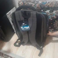 کیف نونو|کیف، کفش، کمربند|مشکیندشت, |دیوار